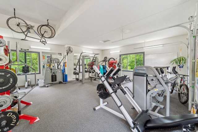18565 Revere Ave, Spring Lake Twp, MN 55372 - view of exercise room