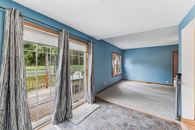 2628 River Rd, Sterling Twp, WI 54024 - entryway featuring baseboards, a textured ceiling, stone finish flooring, and carpet flooring