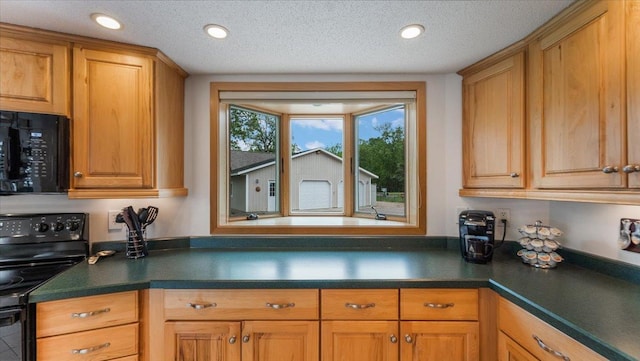 9630 Walleye Rd NW, Brandon, MN 56315 - kitchen featuring black appliances, dark countertops, recessed lighting, and a textured ceiling