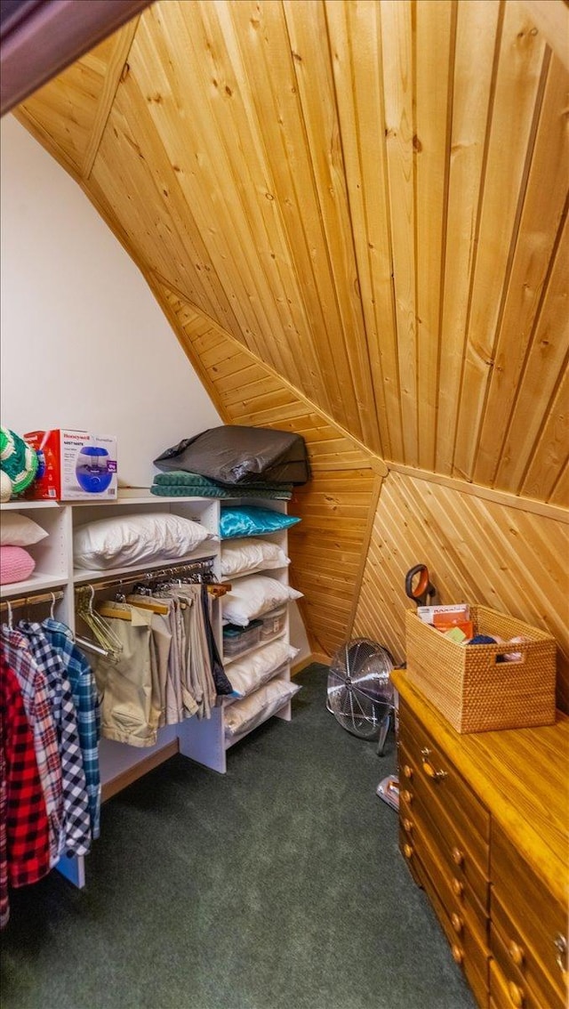 9630 Walleye Rd NW, Brandon, MN 56315 - walk in closet featuring vaulted ceiling and carpet