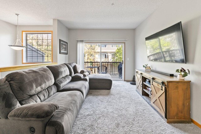 13848 52nd Ave N, Plymouth, MN 55446 - carpeted living area featuring a textured ceiling and baseboards