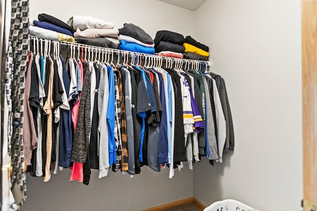 13848 52nd Ave N, Plymouth, MN 55446 - view of spacious closet