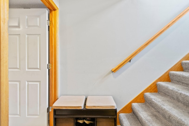 13848 52nd Ave N, Plymouth, MN 55446 - view of stairway