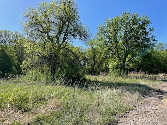 TBD Highway 212, Stony Run Twp, MN 56265