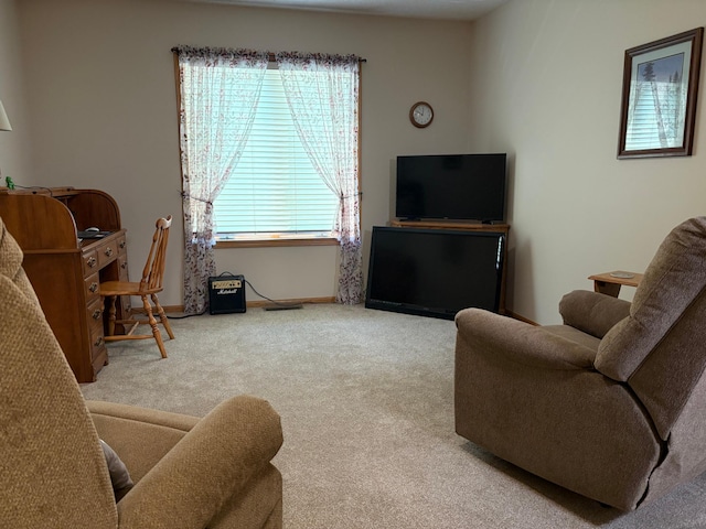 40 Broadway, Plainview, MN 55964 - living area featuring carpet