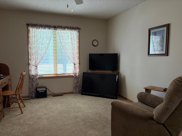 40 Broadway, Plainview, MN 55964 - living area featuring carpet floors, ceiling fan, baseboards, and a textured ceiling