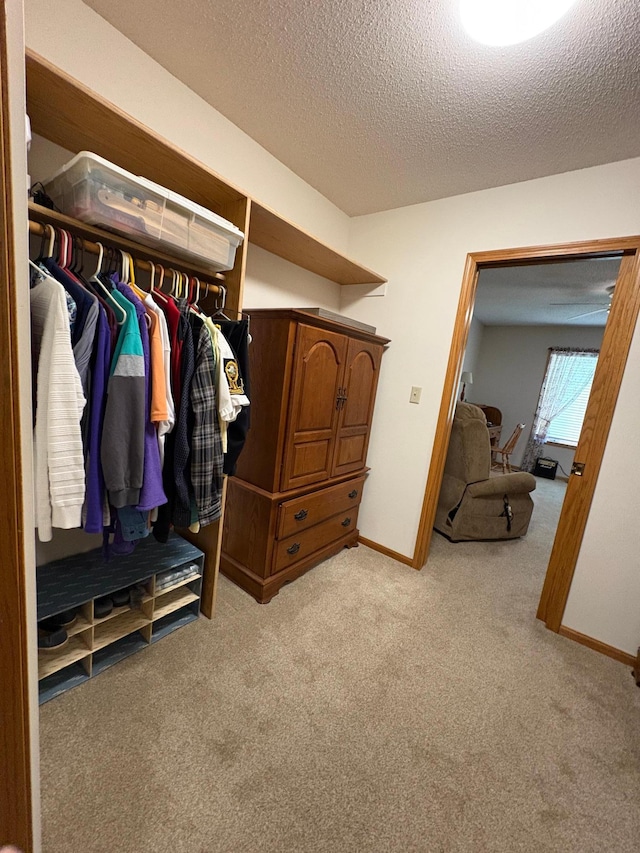 40 Broadway, Plainview, MN 55964 - spacious closet featuring light colored carpet