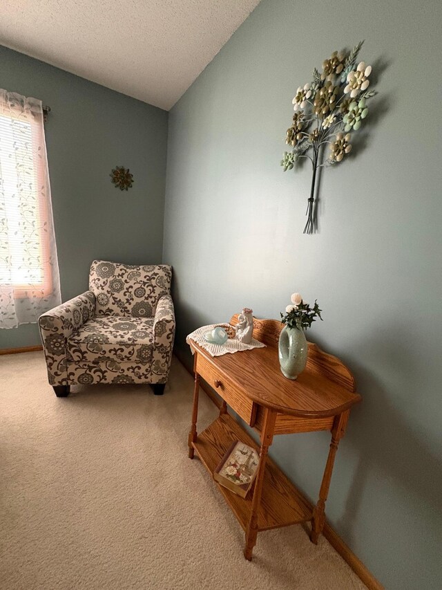 40 Broadway, Plainview, MN 55964 - sitting room with light carpet and a textured ceiling