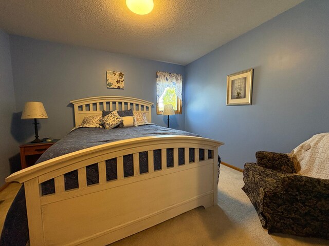 40 Broadway, Plainview, MN 55964 - bedroom with carpet floors, a textured ceiling, baseboards, and lofted ceiling