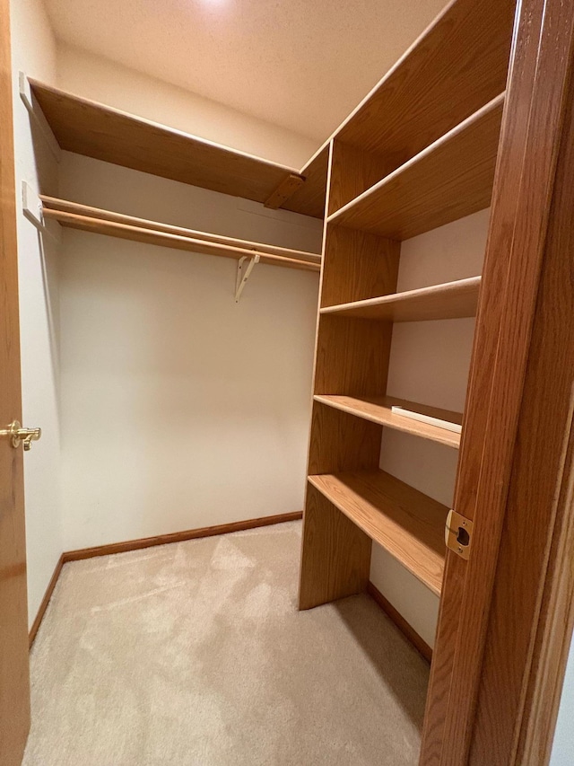 40 Broadway, Plainview, MN 55964 - walk in closet with carpet floors