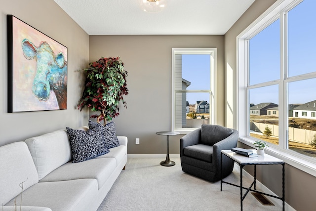 5107 Allen Dr, Woodbury, MN 55129 - living area with light colored carpet and baseboards