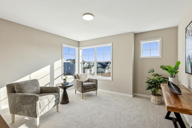 5107 Allen Dr, Woodbury, MN 55129 - living area with carpet and baseboards