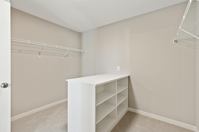 5107 Allen Dr, Woodbury, MN 55129 - spacious closet featuring carpet floors