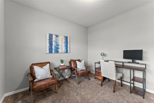 6317 153rd St, Savage, MN 55378 - carpeted office with baseboards and a textured ceiling