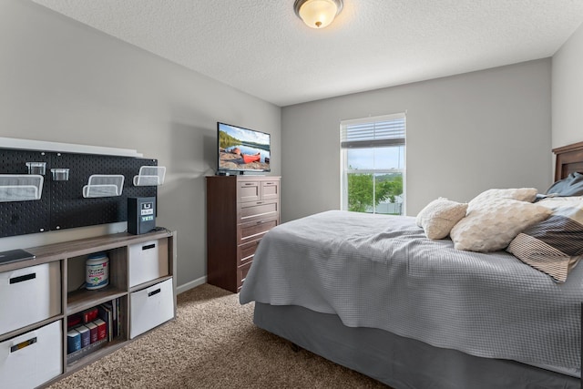 6317 153rd St, Savage, MN 55378 - bedroom featuring carpet and a textured ceiling