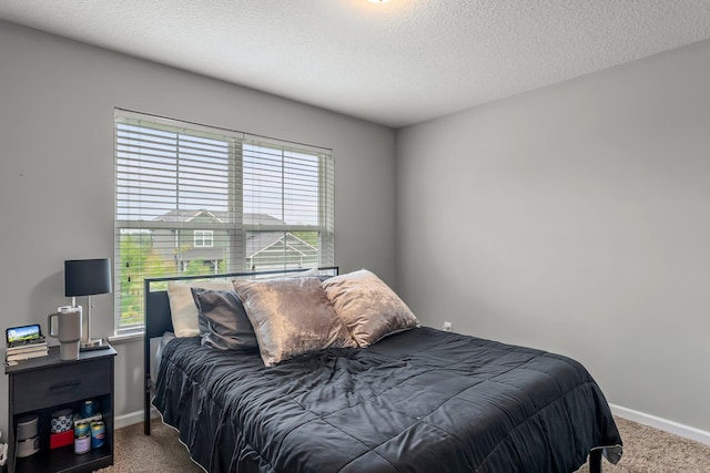 6317 153rd St, Savage, MN 55378 - bedroom featuring carpet, baseboards, and a textured ceiling