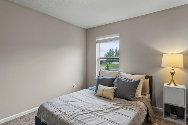 6317 153rd St, Savage, MN 55378 - bedroom featuring carpet floors and baseboards