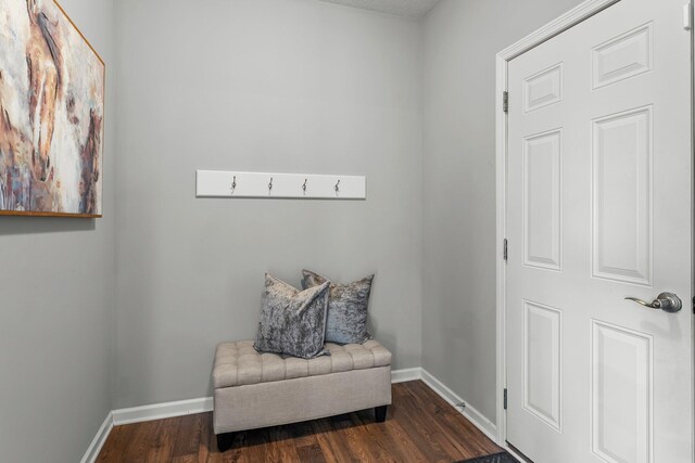 6317 153rd St, Savage, MN 55378 - living area featuring dark wood-type flooring and baseboards