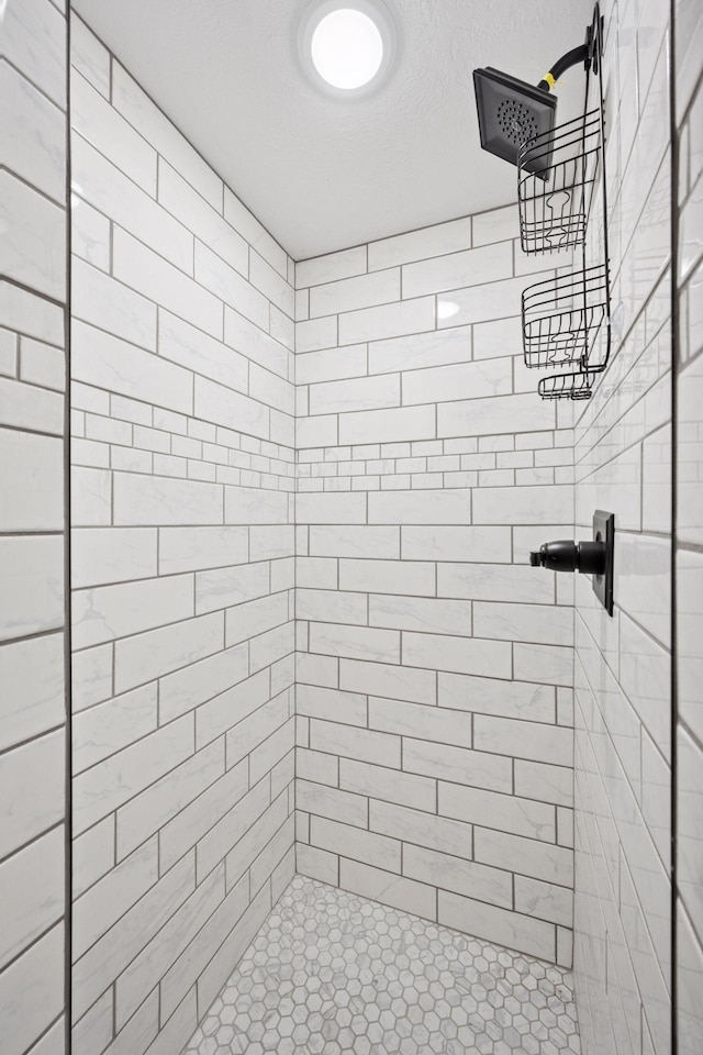 30558 376th Ave, Nordland Twp, MN 56431 - bathroom featuring tiled shower