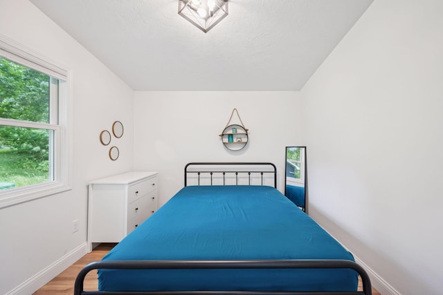 30558 376th Ave, Nordland Twp, MN 56431 - bedroom featuring light wood-type flooring and a textured ceiling
