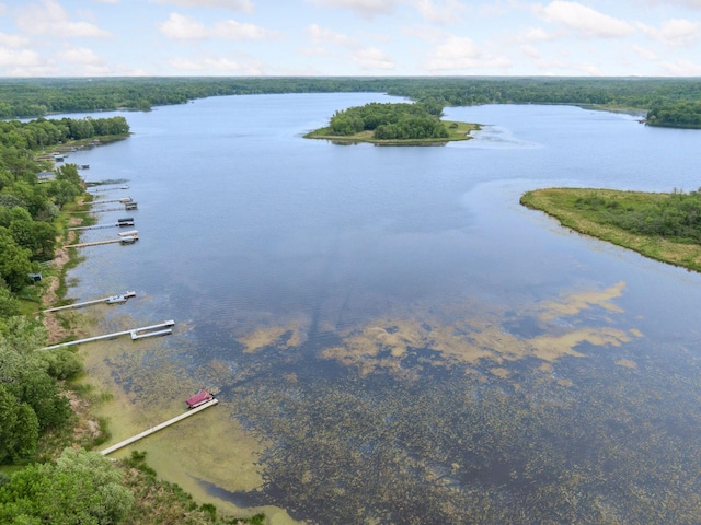 30558 376th Ave, Nordland Twp, MN 56431 - water view with a forest