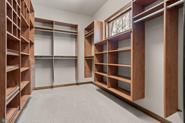 106 Beaton Dr, West Fargo, ND 58078 - walk in closet with carpet flooring