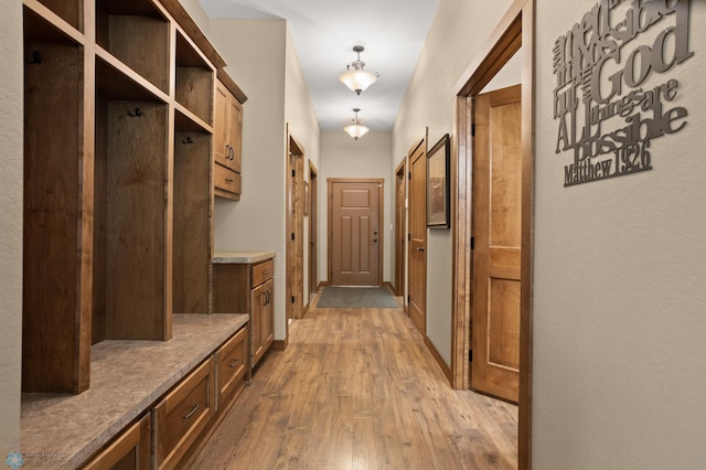 106 Beaton Dr, West Fargo, ND 58078 - mudroom featuring wood-type flooring