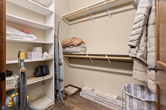 106 Beaton Dr, West Fargo, ND 58078 - spacious closet with wood finished floors