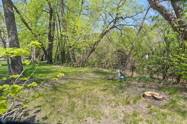 106 Beaton Dr, West Fargo, ND 58078 - view of grassy yard