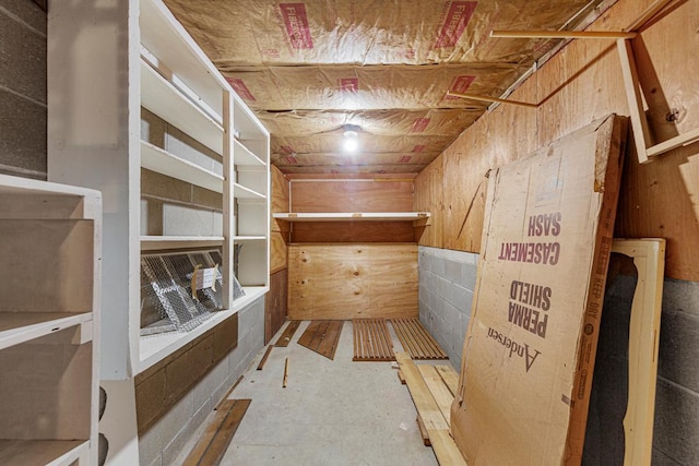 16 Crestview Bay, Faribault, MN 55021 - view of storage