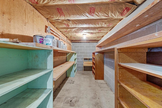 16 Crestview Bay, Faribault, MN 55021 - view of storage