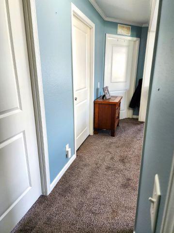 305 4th Ave SW, Milltown, WI 54858 - corridor with carpet floors, crown molding, and baseboards