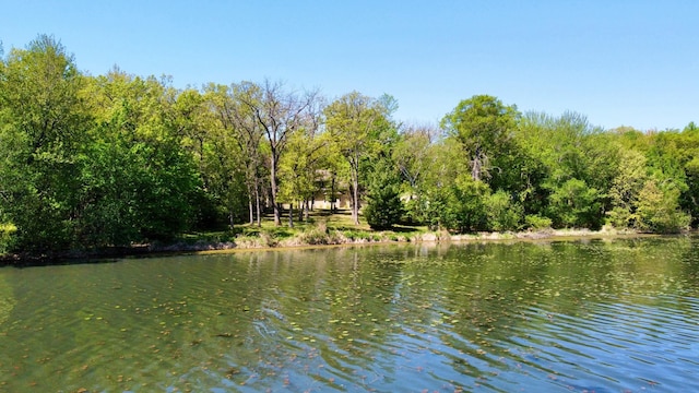 28075 Zuni St NW, Isanti, MN 55040 - water view