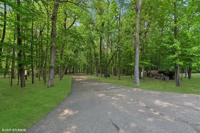 28075 Zuni St NW, Isanti, MN 55040 - view of road with a wooded view