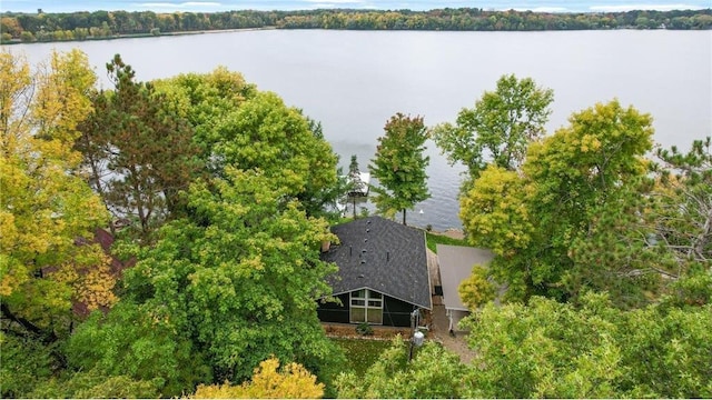 29408 Francis Lake Dr NW, Bradford Twp, MN 55040 - view of subject property with a nearby body of water