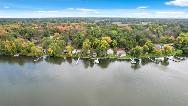 29408 Francis Lake Dr NW, Bradford Twp, MN 55040 - bird's eye view of a large body of water and a heavily wooded area