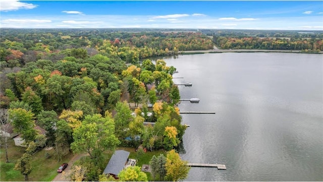 29408 Francis Lake Dr NW, Bradford Twp, MN 55040 - bird's eye view of a large body of water and a heavily wooded area