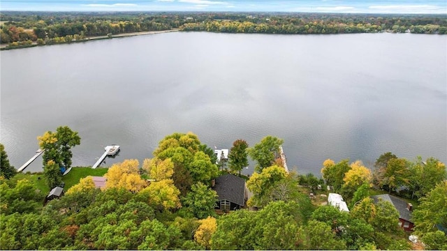 29408 Francis Lake Dr NW, Bradford Twp, MN 55040 - aerial view of a nearby body of water and a heavily wooded area