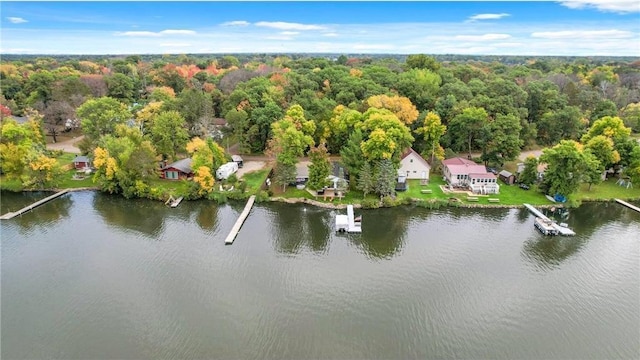 29408 Francis Lake Dr NW, Bradford Twp, MN 55040 - drone / aerial view of a large body of water and a forest