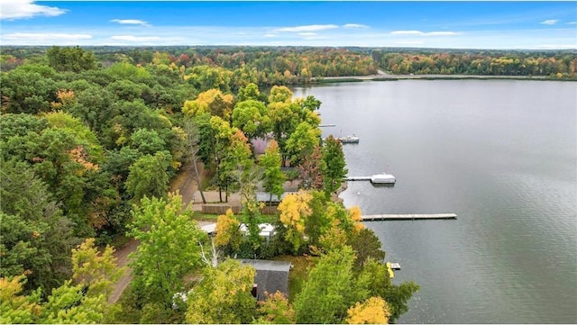 29408 Francis Lake Dr NW, Bradford Twp, MN 55040 - drone / aerial view of a large body of water and a forest