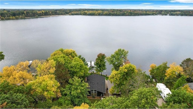 29408 Francis Lake Dr NW, Bradford Twp, MN 55040 - bird's eye view of a nearby body of water and a heavily wooded area