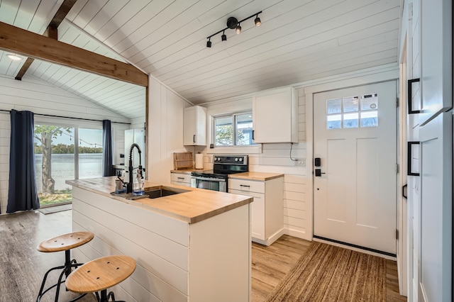 29408 Francis Lake Dr NW, Bradford Twp, MN 55040 - kitchen featuring stainless steel range with electric stovetop, butcher block countertops, a sink, light wood-style flooring, and white cabinets