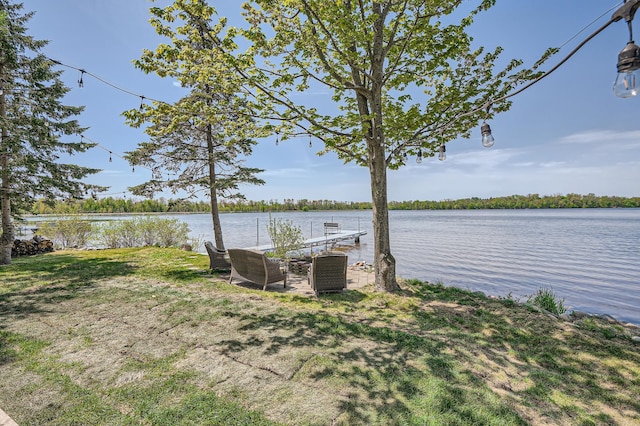 29408 Francis Lake Dr NW, Bradford Twp, MN 55040 - dock area with a water view