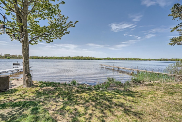 29408 Francis Lake Dr NW, Bradford Twp, MN 55040 - dock featuring a water view and central AC unit