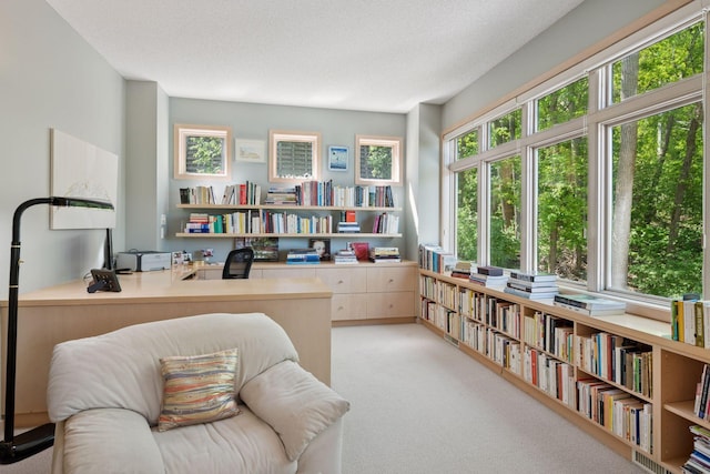 office area featuring light colored carpet