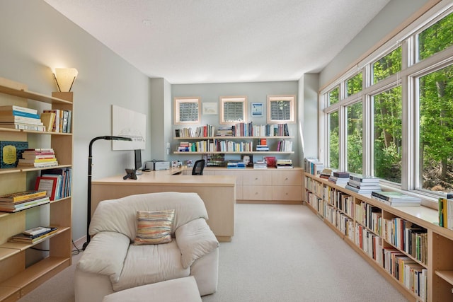 office space with carpet