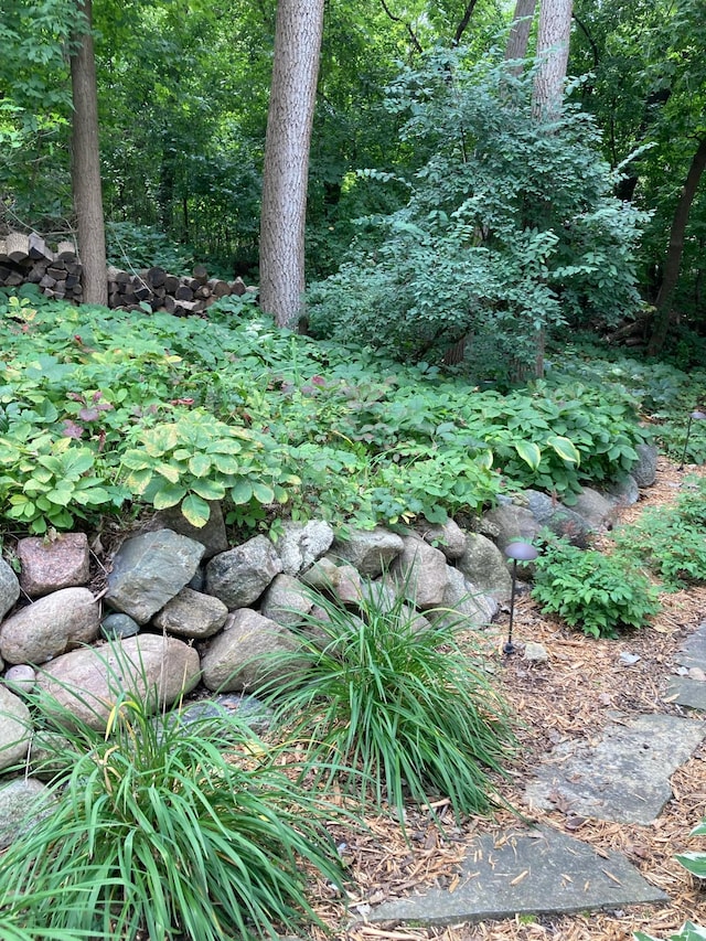 view of nature