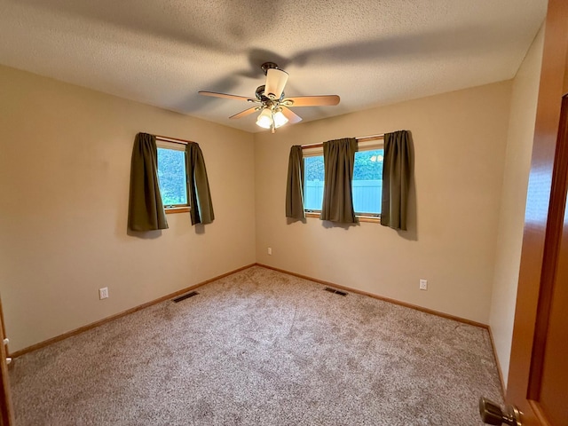 2705 6th St SW, Willmar, MN 56201 - empty room featuring plenty of natural light, ceiling fan, and carpet floors
