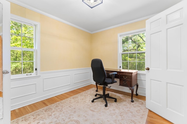 1429 20th St SW, Rochester, MN 55902 - office space with crown molding, wood finished floors, and wainscoting