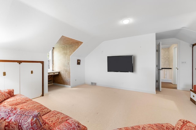 1429 20th St SW, Rochester, MN 55902 - bedroom with vaulted ceiling, carpet, and a closet